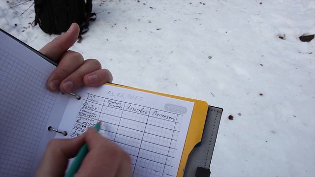 Вкусы синиц / Эксперимент с орехами и семечками смотреть онлайн