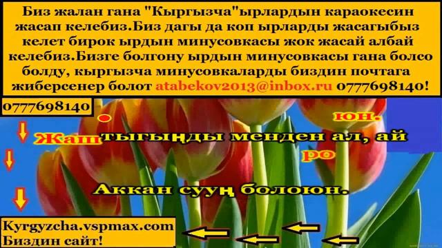 Жамиля Муратова Ак кайын Караоке смотреть онлайн