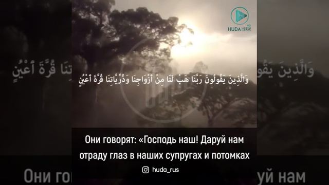 Стальск красиво читает 2019 год 15 января смотреть онлайн