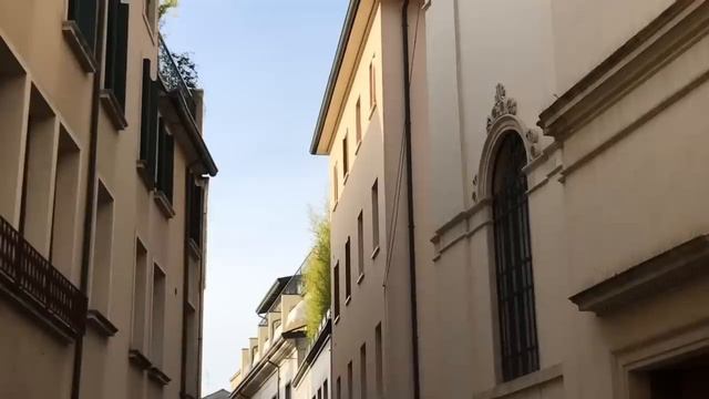 Красота и гармония