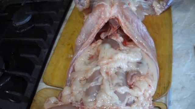 Вес тушки кролика Хиколь в 7 месяцев смотреть онлайн