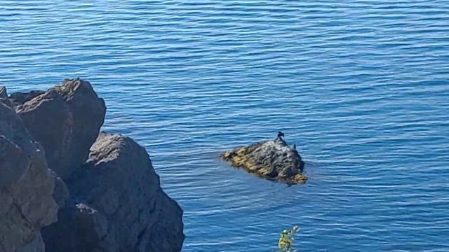 Дорога на п. Новый Свет. Тропа Галицына. Грот Шаляпина. смотреть онлайн