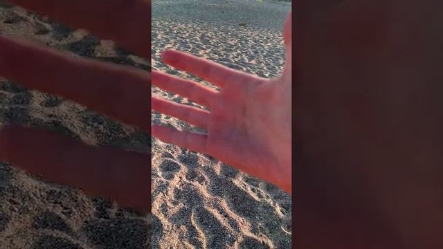 Где раки зимують смотреть онлайн