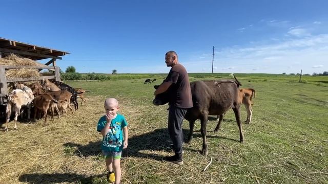 ГОСТЕЙ ПОЛНЫЙ ДОМ! НЕОЖИДАННЫЕ СЮРПРИЗЫ! ПРАЗДНИК УДАЛСЯ! НАША ФЕРМА! ЖИЗНЬ ПРОСТЫХ ЛЮДЕЙ В ДЕРЕВНЕ смотреть онлайн