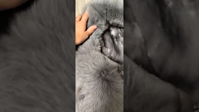 Шуба Ласка п/п Тёмная норка. Размер 44 смотреть онлайн