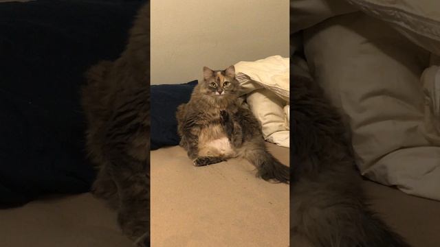 She can't believe I've done this. смотреть онлайн