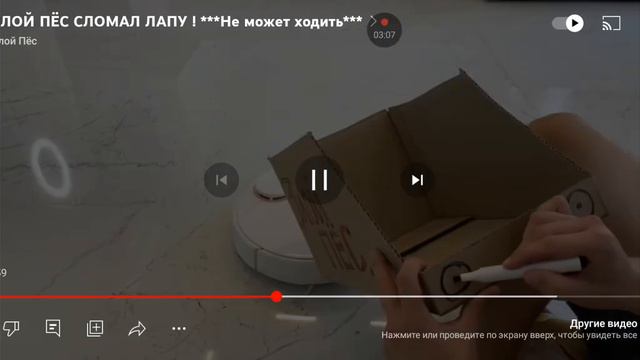 смотрю злой пёс смотреть онлайн
