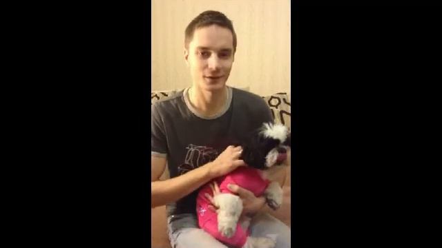 Станислав Корнеев смотреть онлайн