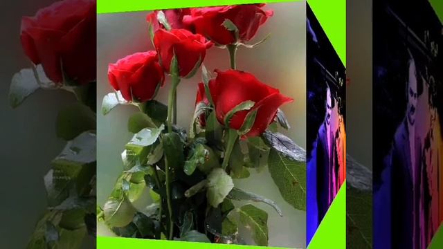 Мани Ошик,и хаста...,✨️👍✍️☝️✨️❤️💐 шодравон Ах,мад Зох,ир .,✨️✨️✨️. смотреть онлайн