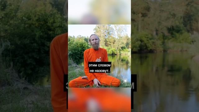 Что нужно делать, для того чтобы прожить прогрессивную счастливую жизнь? смотреть онлайн