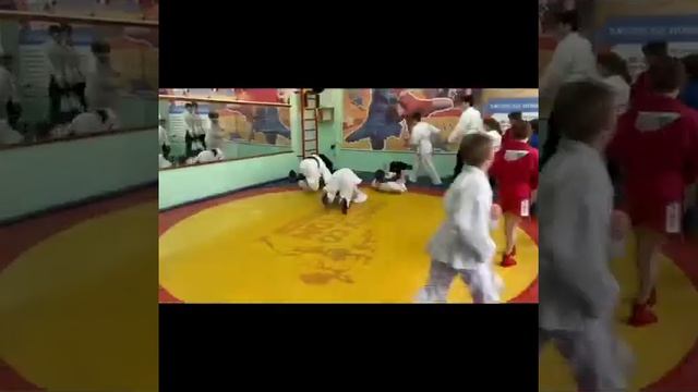 я расту со спортом самбо в школе смотреть онлайн
