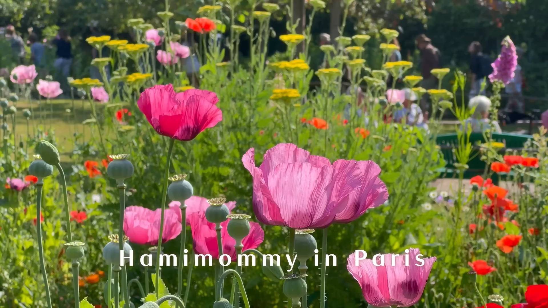 HAMIMOMMY Неделя в ПарижеㅣМое одиночное путешествие через 10 летㅣВинтажный магазин, книжный магазин, смотреть онлайн