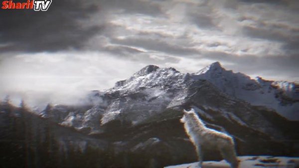 Kabbiru Allahu Akbar NASHEED (НАШИД Каббиру)