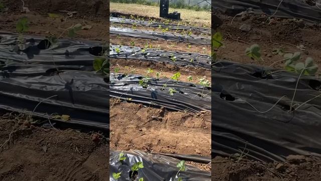 10 июня 2023 г. смотреть онлайн