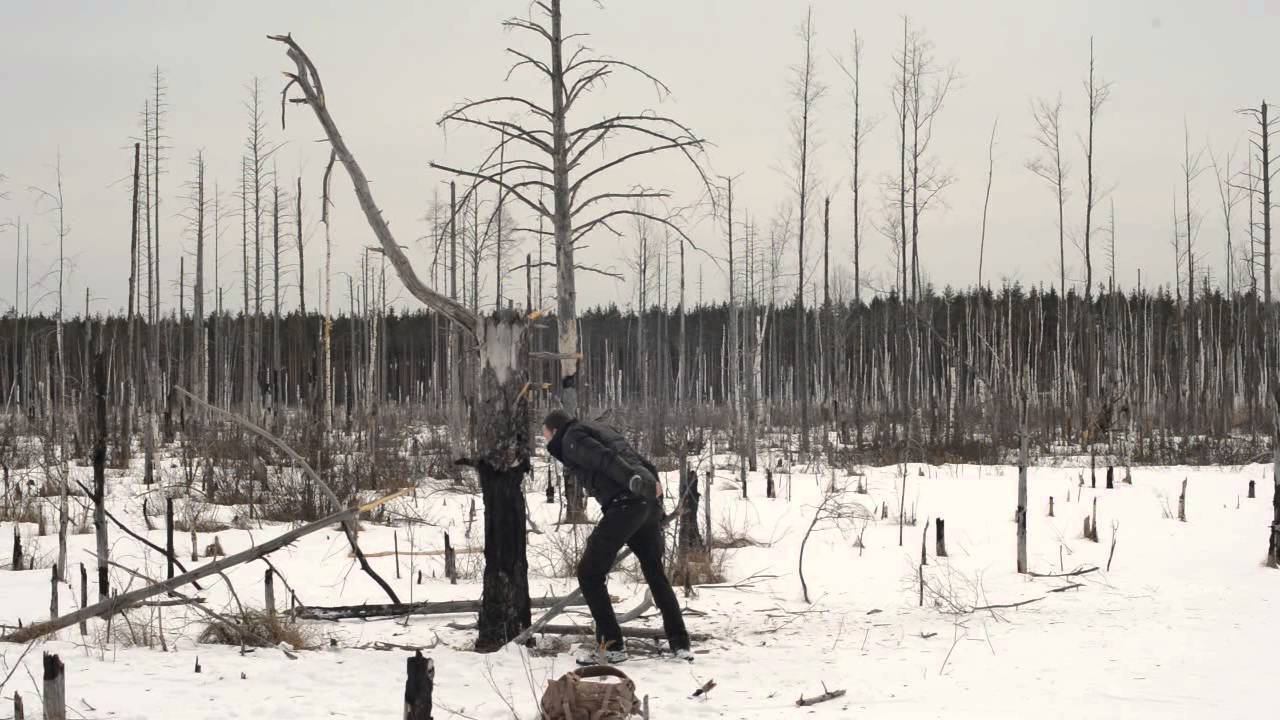 Безумный Володя :) смотреть онлайн