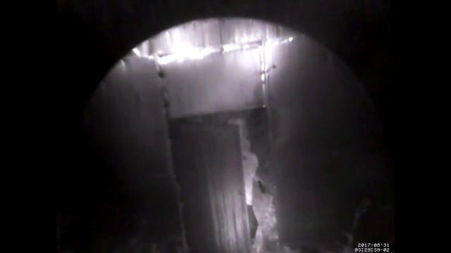 Кража в саду смотреть онлайн
