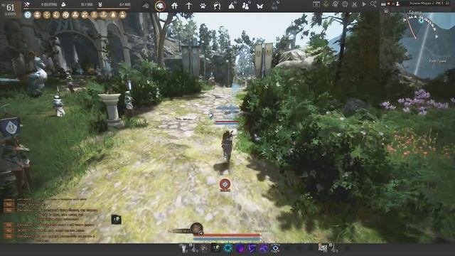 Твины в бдо или зачем несколько персонажей в Black Desert 2022