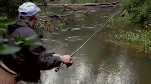Ловля форели на реке