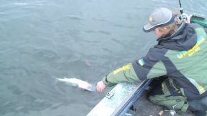 ловля в отвес с лодки на балансир Lucky John