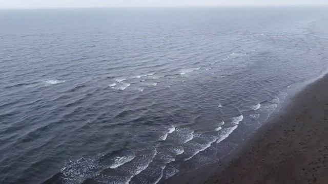 Природа, отдых. Ловим горбушу и коптим. Sakhalin Fishing. смотреть онлайн