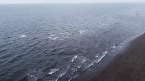 Природа, отдых. Ловим горбушу и коптим. Sakhalin Fishing.