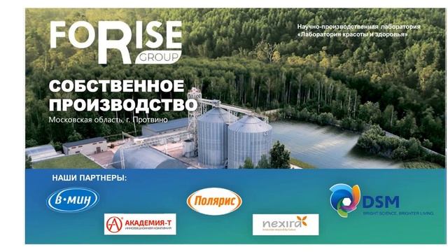 Компания FoRise Group. Взгляд изнутри 20022.07.29 смотреть онлайн