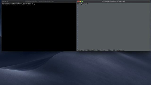 SaltStack NOOBS_1- How to Install and Configure a Salt Master and Minion смотреть онлайн