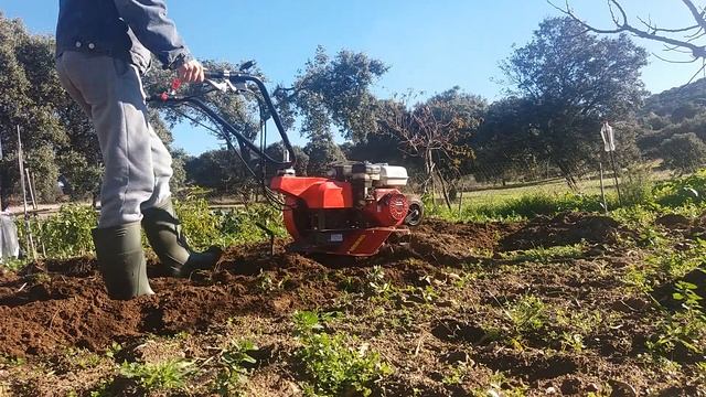 Preparando el terreno con motoazada Honda gx160 смотреть онлайн