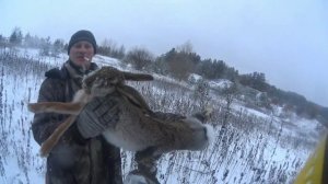 Шикарная охота на зайца русака.#охотасгончими#заецрусак#гончие#