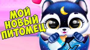 НОВЫЙ МАЛЫШ❤️Ухаживаю за питомцем ОБНОВЛЕНИЕ Fluvsies