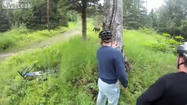 Внезапно! смотреть онлайн