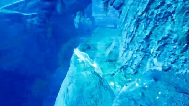 Spirit Of The North - Прохождение на русском. Глава 7 #spiritofthenorth #balamuttv