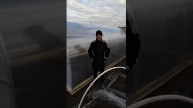 Теплица удачно получилась, понравиться еще одну поставим. Отзыв владельца. смотреть онлайн