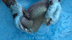 ASMR | Blue Products Dump (TyDBol, Foca, Ajax, Dish Soap, Roma + Rinse)