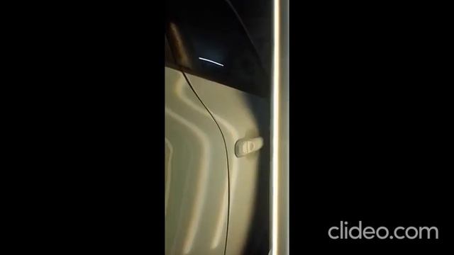 Декоративная Экспрессия