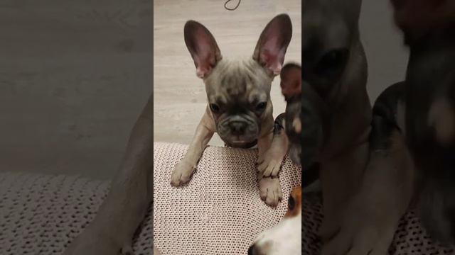 целуемся 🥰 смотреть онлайн