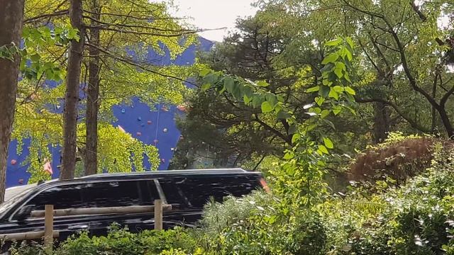 СВИДАНИЕ С КОРЕЙСКИМ МУЖЕМ И СВИНОЙ ГРИПП, КОТОРЫЙ ВСЕ ПОРТИТ смотреть онлайн