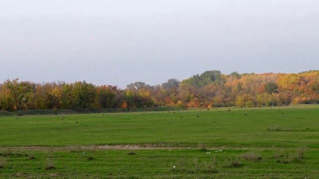 Село бено-юрт Чече́нская респу́блика, надтеречный район смотреть онлайн