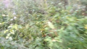 Заброшки Партизанска ч1