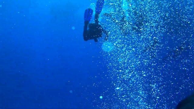 Какие опасности ждут дайверов на поверхности. Dangers awaiting divers on the surface of the water. смотреть онлайн