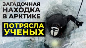 Монстр из Арктики: кого обнаружили вмерзшим в лед | Факты