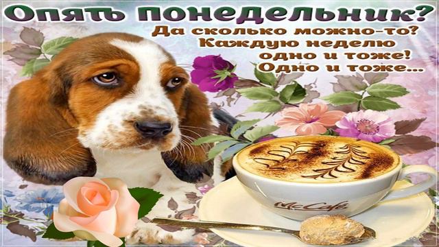 И снова понедельник! Удачного начала недели! смотреть онлайн