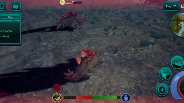 Пвп за стегу против стеги,стерако в the cursed isle смотреть онлайн