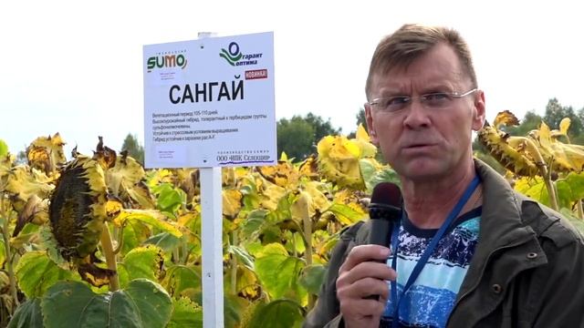 9 ноября 2023 г. смотреть онлайн
