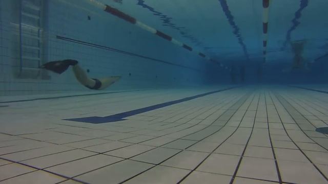 1 Тренировка 20.03.2016, фридайвинг, Freediving.spb.ru