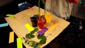 РАДУЖНЫЕ РОЗЫ | DIY | КАК СДЕЛАТЬ ЦВЕТНЫЕ РОЗЫ