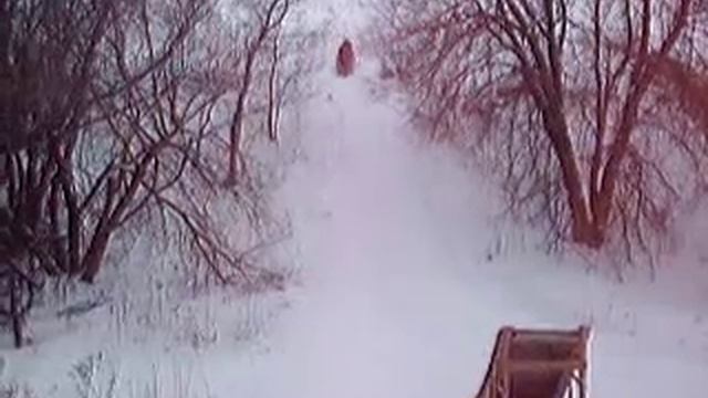 3 ski jump смотреть онлайн