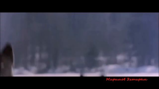 А ВОЛКИ ГОРАЗДО ДОБРЕЕ ЛЮДЕЙ... смотреть онлайн