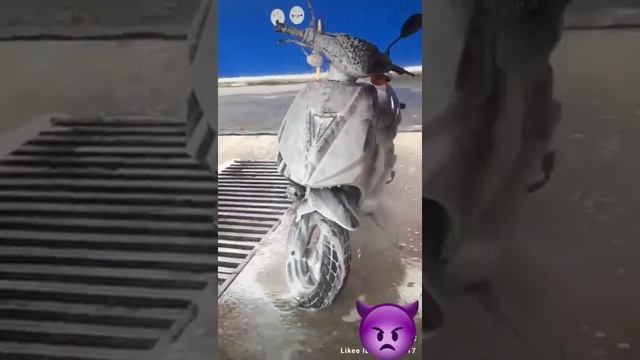 Опер Стиль.по мопеду смотреть онлайн