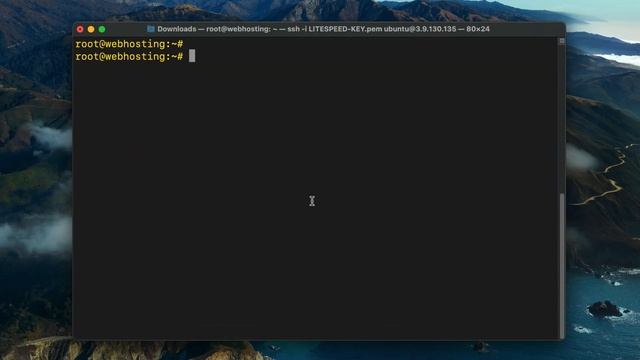 Set up LiteSpeed Web Server With CyberPanel смотреть онлайн
